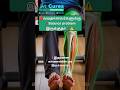 வயதானவர்கள் balance இழக்குறாங்களா? 😨 இதை ignore பண்ணாதீங்க! ⚠️ @DrDhineshThangavelPhysio