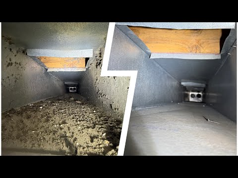 Manalapan Detailing