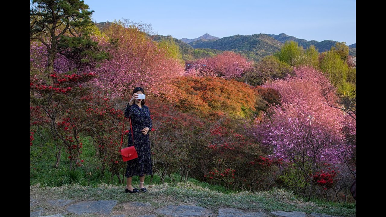 한국의 발견 04 전라도 The Discovery of Korea 04 JEOLLADo 05 YouTube