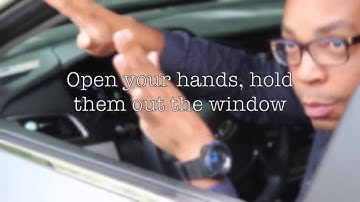 VIDEO: What to do during a traffic stop when you