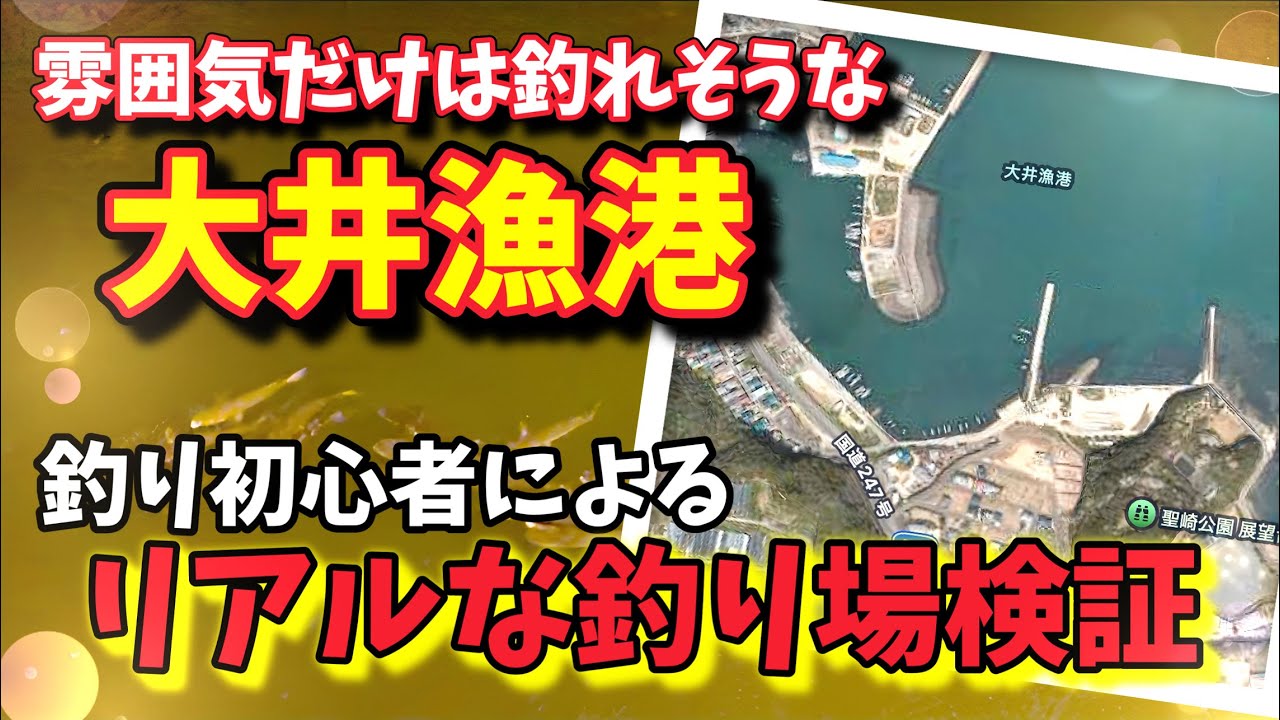 【釣り場紹介】愛知県大井漁港で釣り初心者がキス釣り検証‼️