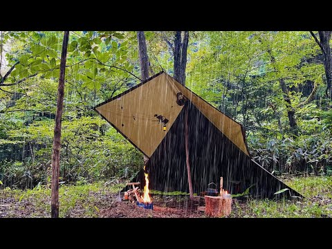 【ソロキャンプ】雨の中、森で一泊