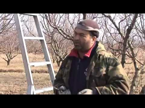 რეხელები ხელისუფლებას დაპირებულ კომპენსაციებს ახსენებენ 07.02.2015