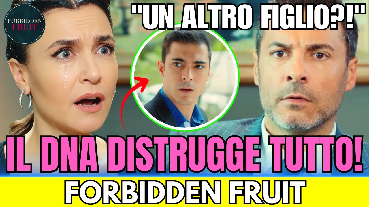 FORBIDDEN FRUIT - SCANDALO FAMILIARE! ENDER HA NASCOSTO UN FIGLIO AVUTO CON KAYA PER ANNI