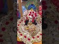 “Laddu Gopal ji ka sundar darshan 🙏❤️ #shorts#laddugopal #bhakti”