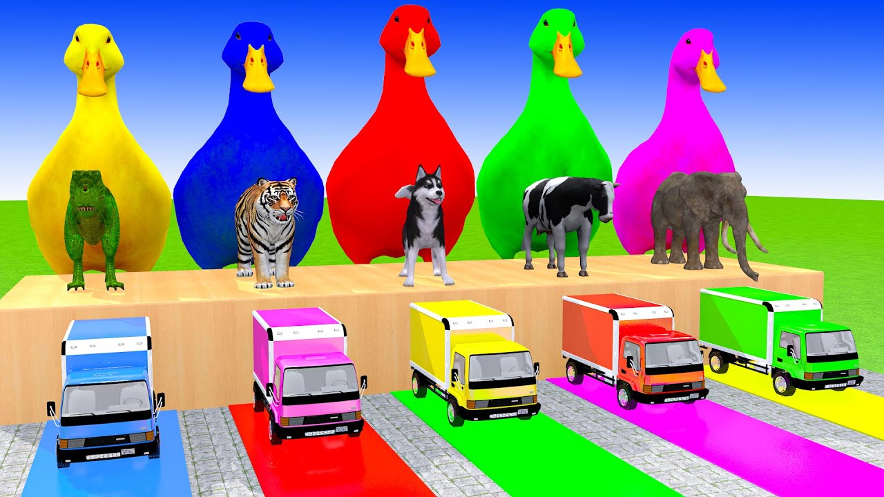 Long Slide Game With Cow Elephant Gorilla Hippopotamus Tiger 3d Animal Game Funny 3d Animals