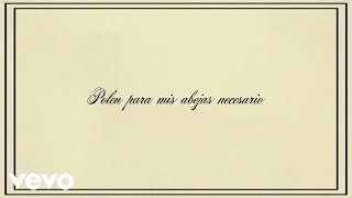 ANASOF - Tú, mi bb (polen para mis abejas, necesario) (Lyric Video) screenshot 5