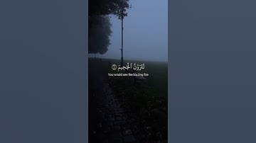سورة التكاثر راحه نفسيه #اللهم_صل_علي_محمد