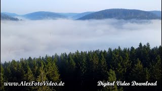 Digital video download for sale, Fog over Black Forest, Germany, Drone video