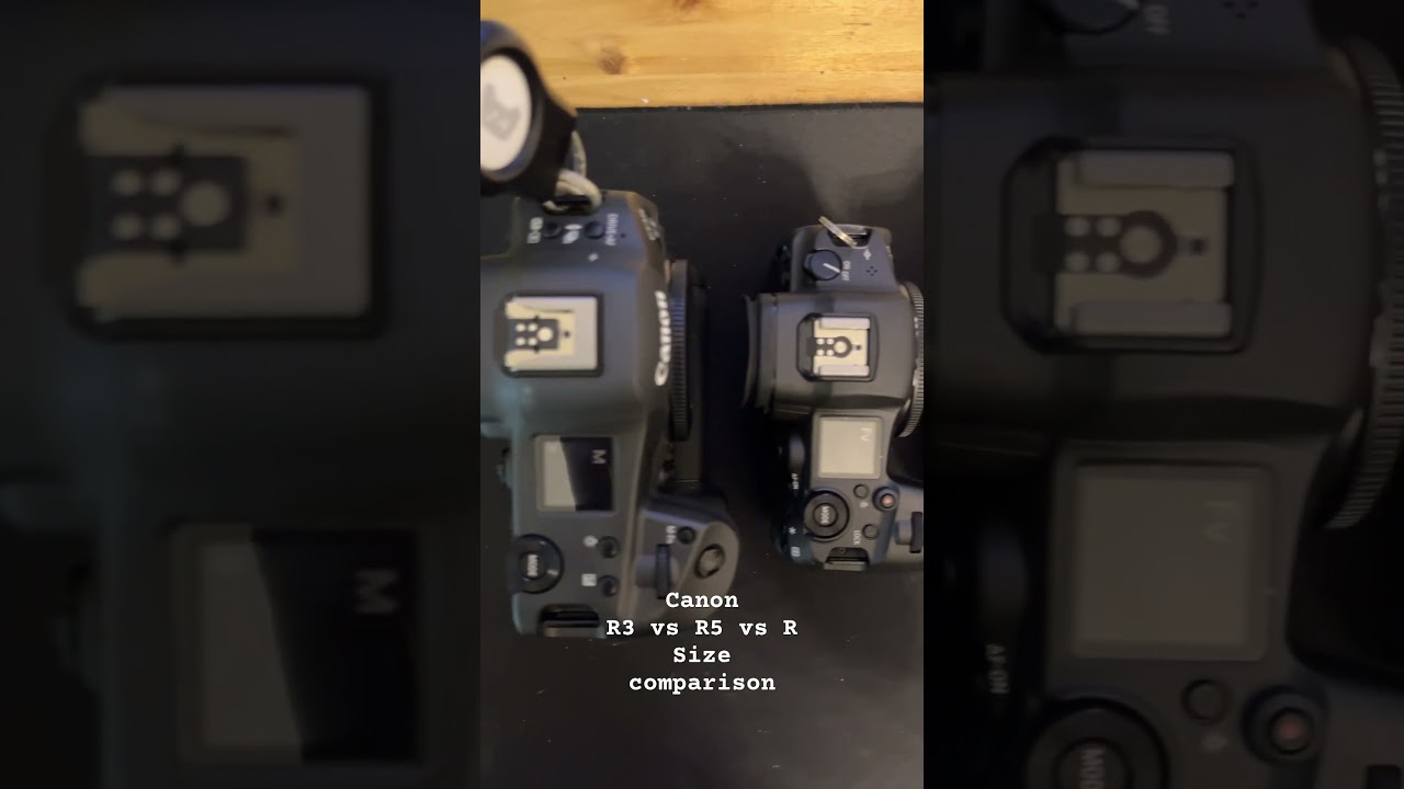 Canon R3 vs R5 vs R size comparison