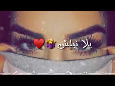 كيفكون آسفي ع قلت التفاعل الكل يزت تعليق لازورو ونزلو وصف إذا سمحتوا ضروري