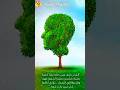 كلمة طيبة كشجرة طيبة تأملات في الآيات 24 27 من سورة إبراهيم 