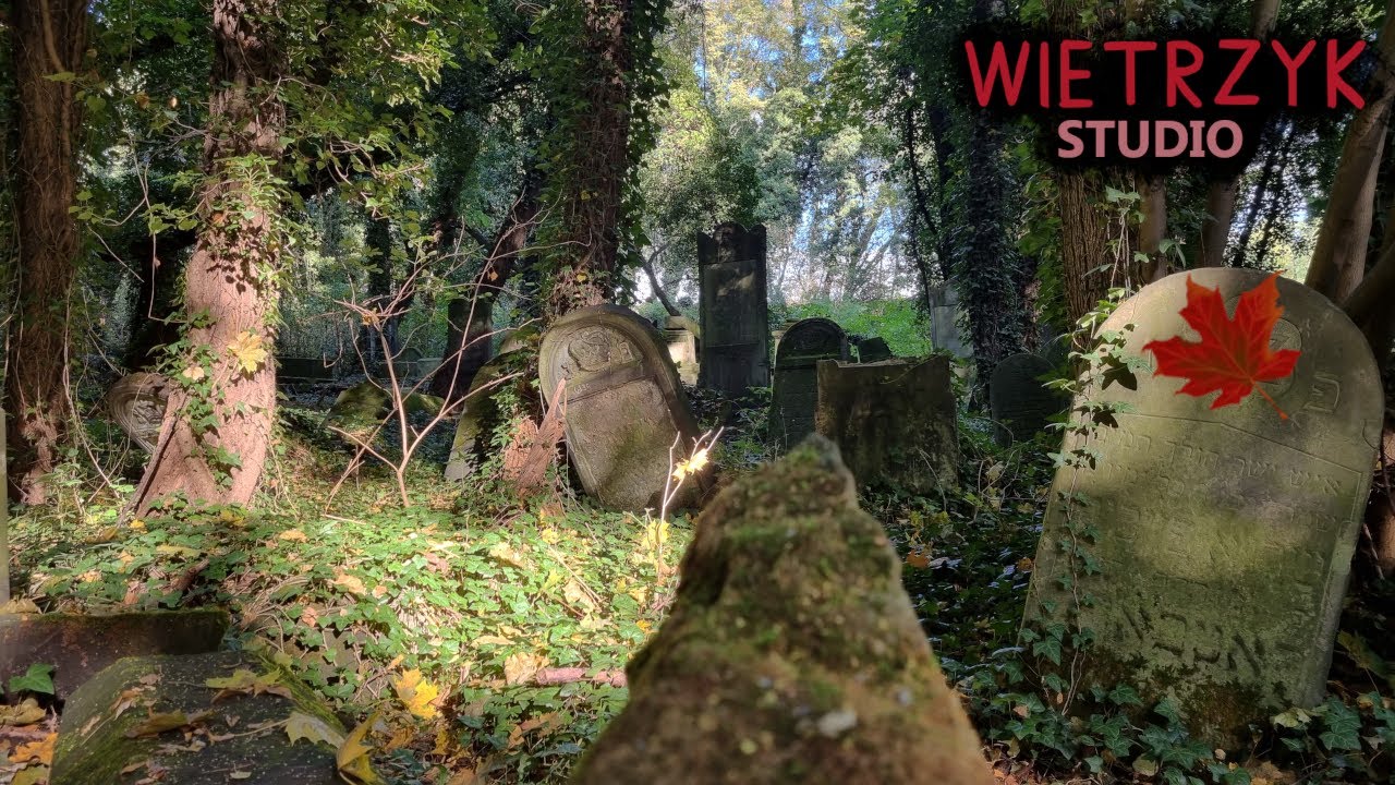 Najbardziej niesamowity zapomniany cmentarz - W środku lasu | Wietrzyk studio