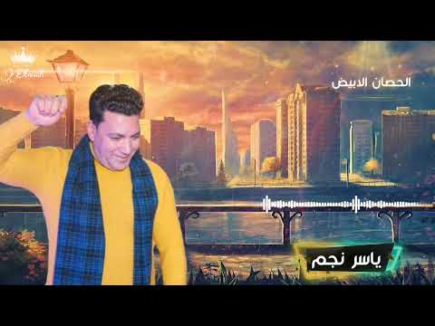 أنتم الآن علي كوكب الحصان الأبيض ياسر نجم