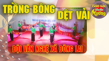 MÚA "TRỒNG BÔNG DỆT VẢI"