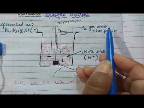 standard hydrogen electrode