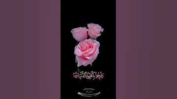 صباح الورد 🌺حالات واتس اب مقاطع قصيره💖قران سورة الرعد الله يبسط الرزق لمن يشاء🌺عبد الباسط بدون حقوق