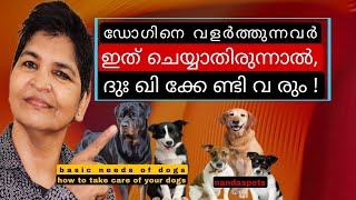 ഇത് ചെയ്യാതെ ഡോഗിനെ വളർത്തിയാൽ ദുഃഖിക്കേണ്ടിവരും | Basic Needs of Dogs @NANDASPets by NANDAS pets 154 views 3 months ago 2 minutes, 13 seconds