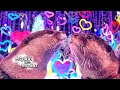 Otter couple's exciting date [Otter Life Day 831]