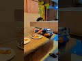 Food 🍚🍱🥘🥣#like #share #comment #Subscribe#shortvideo @sunitagupta9287 ❤️❤️🫶
