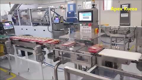 Apex Korea automatic check weigher