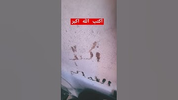 القرآن الكريم #تلاوة_خاشعة #تلاوة_هادئة  #خواتيم_سورة_المؤمنون #سورة_المؤمنون #قرآن_كريم #اكسبلور