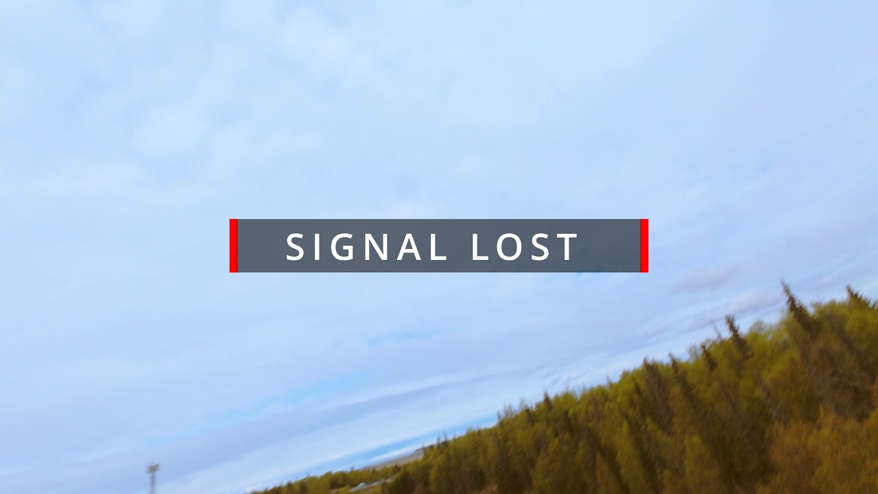 Friday Bird Flight and Total Signal Loss - May 16. 2025 - DJI AVATA 2