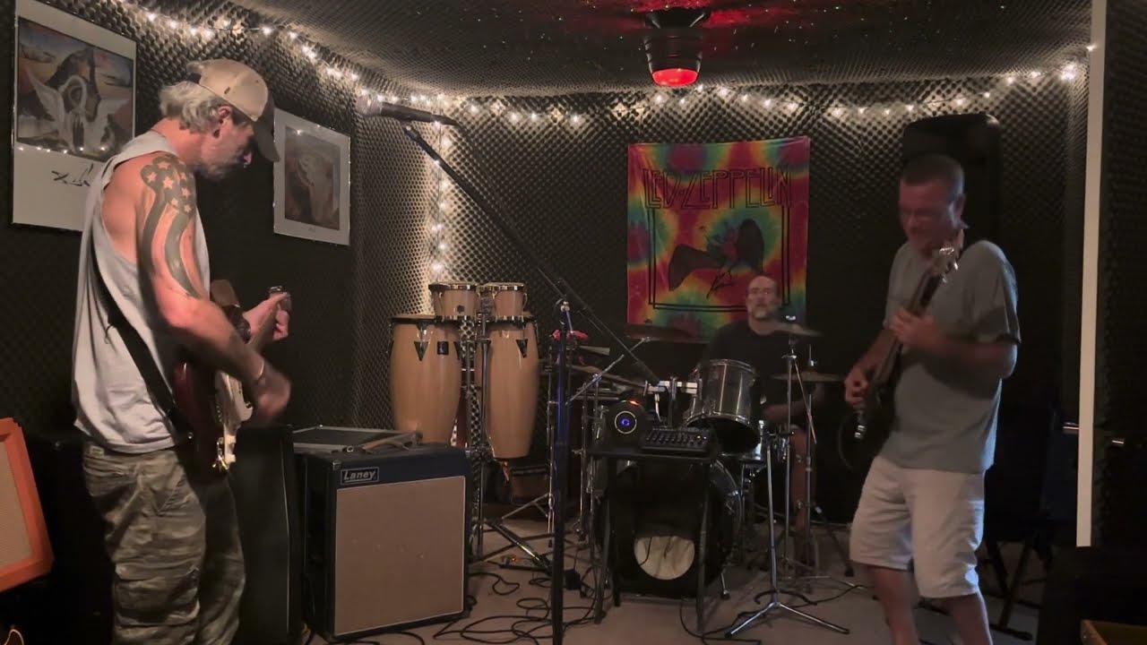 Sound Waves - Bone Fried Turkey