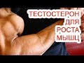 Тестостерон для роста мышц