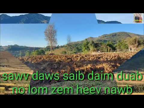 Video: Toj Roob Hauv Pes Kos Duab Zoo Heev