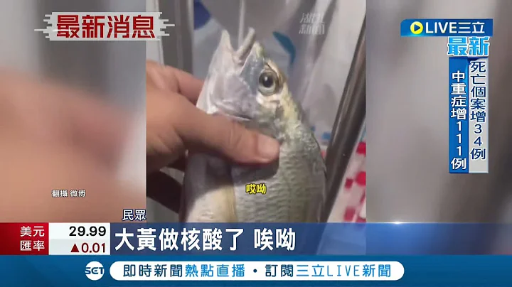 核酸检测无极限...中国奇观防疫层出不穷 厦门当局下令连"鱼虾"也要检测 河南更为蒜苗做筛检 专家讽:浪费医疗资源｜记者 陈采蔚｜【国际大现场】20220818｜三立新闻台 - 天天要闻