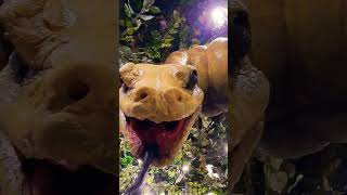 Rainforest Cafe In Galveston, Texas