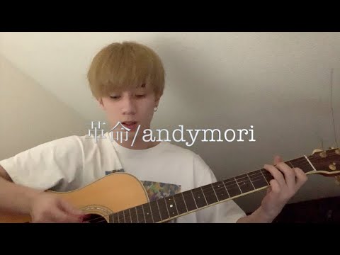【革命/andymori】ギター　弾き語り　cover
