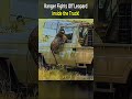 Ranger Fights Off Leopard Inside The Truck