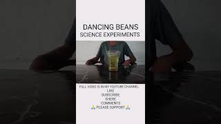 Celebrity DANCING BEANS//SCIENCE EXPERIMENTS AT HOME Wealth