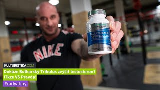 Dokáže Bulharský Tribulus Zvýšit Testosteron? Fikce Vs Pravda