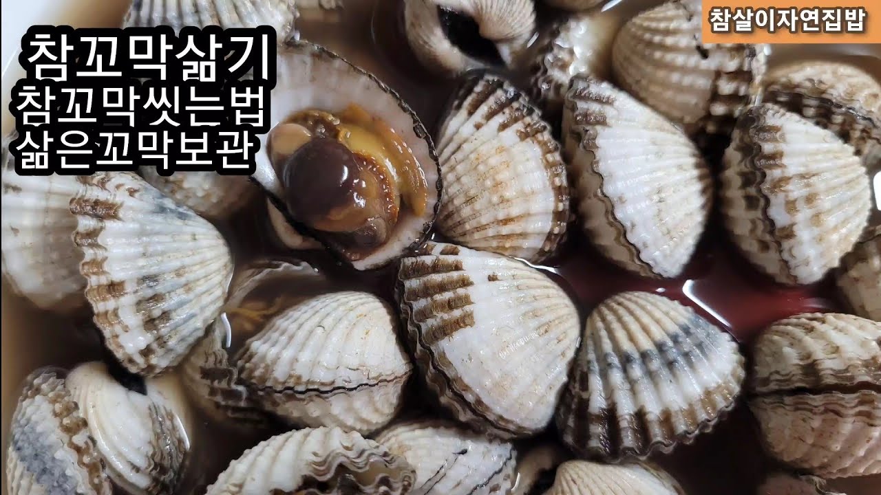 [참꼬막씻는법][참꼬막삶기][삶은꼬막보관법] - YouTube