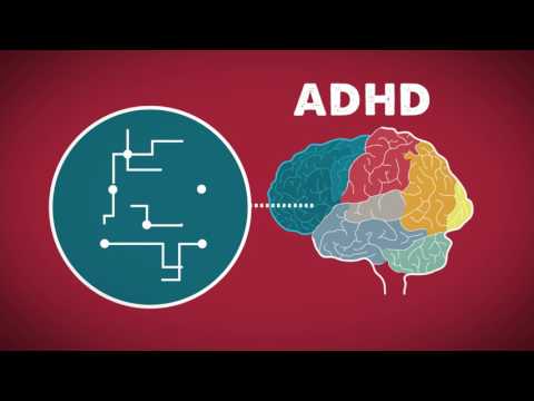 The Brain on ADHD | WebMD