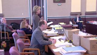 Celebrity Lisa Peebles learns of knife evidence on Day 13 of Gary Thibodeau new trial hearing Profile