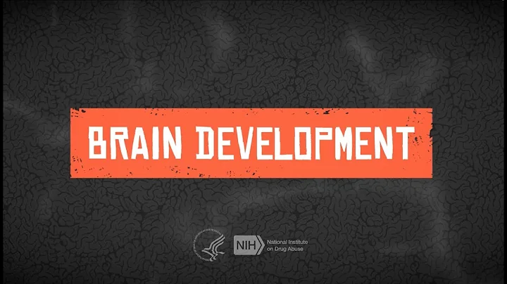 Teen Brain Development - DayDayNews