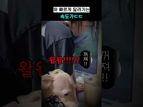 와 빠르게 달려가는 속도가ㄷㄷ thumbnail