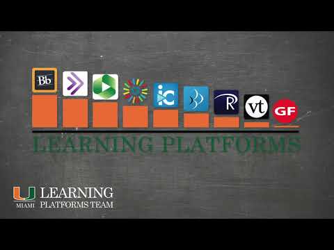 The Only Umb Blackboard Guide You'll Ever Need
