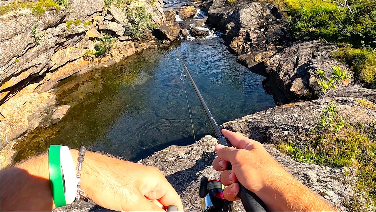 Nessuno ha MAI Pescato in Questo PARADISO TERRESTRE! Funghi, Frutti di Bosco e Trote Catch & Cook!
