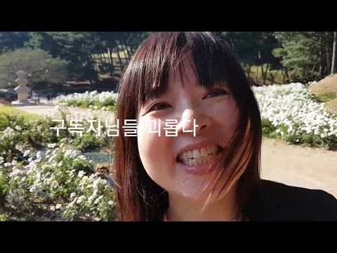 경주나들이놀이:[경주현지인추천] 서악서원 구절초 보러 다녀왔어요