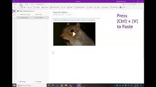 Famous Adding Content to OneNote Net Worth