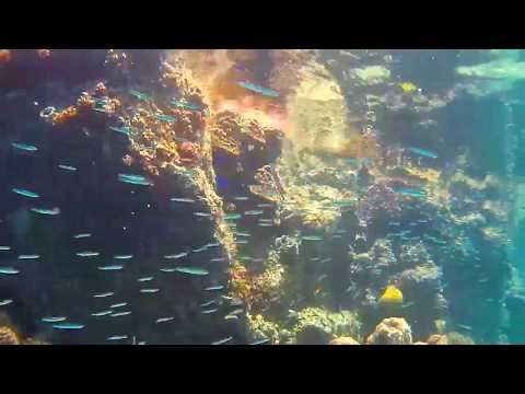 �����̊C�̒�(6)/9�b