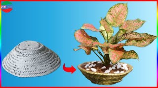 Cement Ideas With Ropes - Simple Way To Have Beautiful And Unique Flower Pots At Home