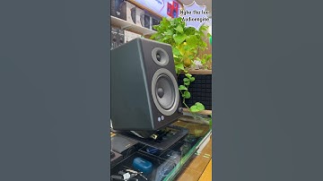 Audioengine A5 + | Audioengine S8 | Trải nghiệm loa Audioengine