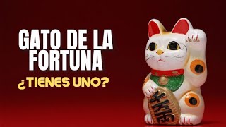 Por Esta Razón Japones Y Chinos Tienen Un Gato De La Fortuna Y Buena Suerte Maneki Neko En Su Hogar