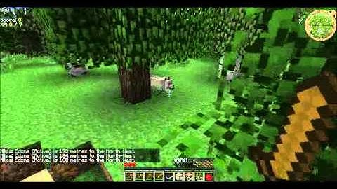 YogBox Survival Part 1 "WTF!?"